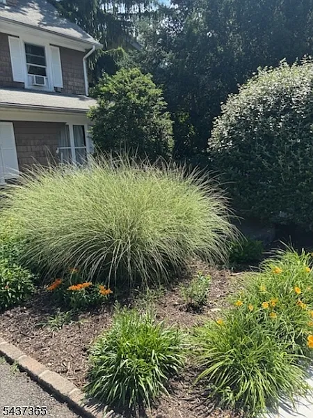 2 bed, 2.0 bath, $2,900 — Photo 4