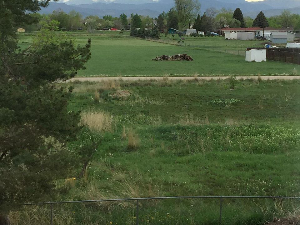 Out kitchen window