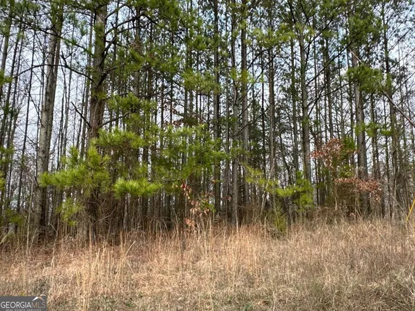 0 Treat Mountain Rd, Cedartown, GA 30125