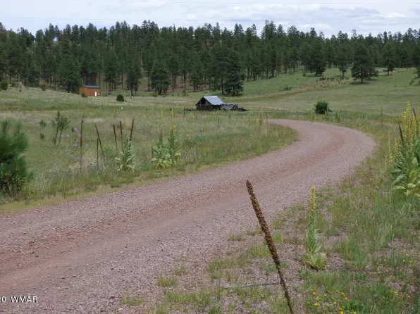 LOT 16 The Ranch At, Alpine, AZ 85920