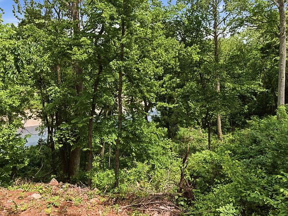 2nd image of Tract 10 Circle B Road
