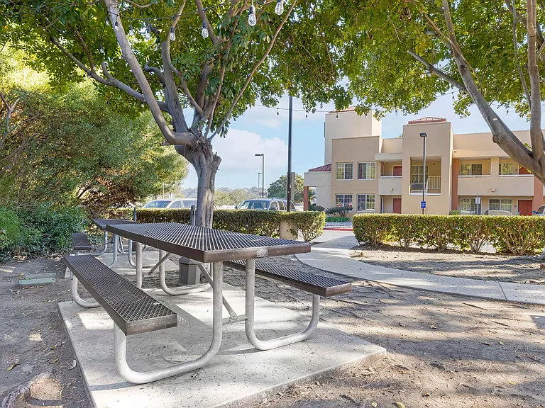 Picnic Area