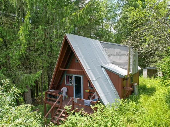 1498 Gee Brook Rd, East Branch, NY 13756