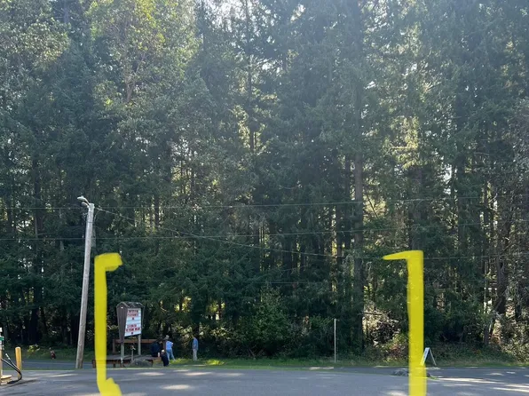 10201 Eckenstam Johnson Rd, Anderson Island, WA 98303