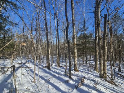 708 Webbs Mills Road, Raymond, ME, 04071