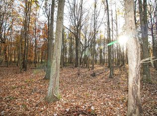 0 Lilly Rd NE, Minerva, OH 44657