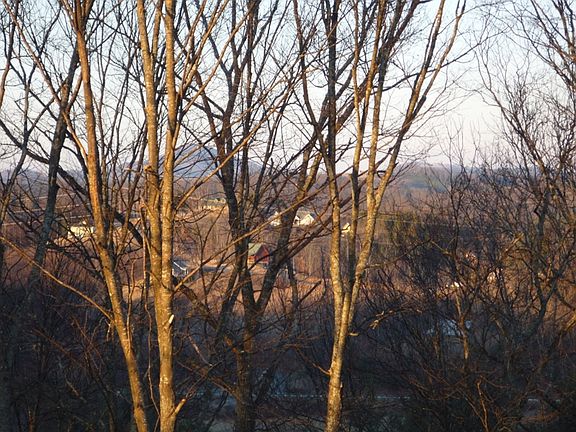 Fall view from the property.