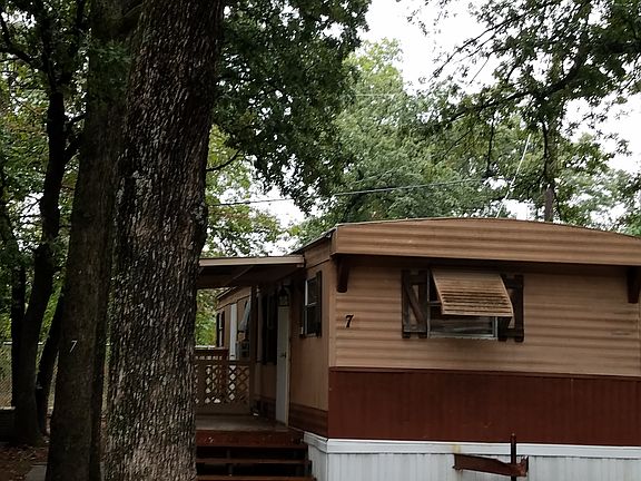 Nice Mature Oak Trees