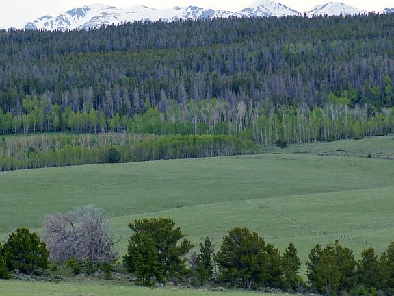 Bull Mountain Cattle Company 3 Of 71