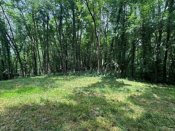 5th image of 189 Deer Valley Dr