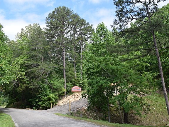 4th image of 9929 Mullins Cove Rd