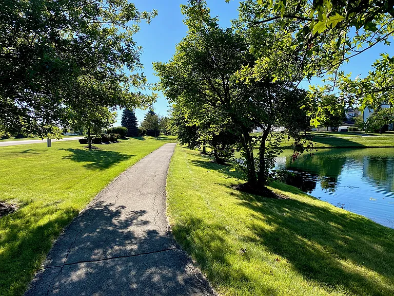 Deer Chase — Photo 45