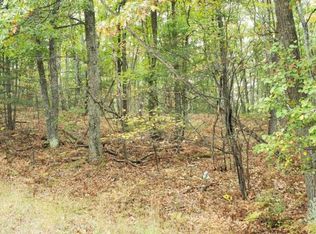 Sitzmark Drive Lots 83 And #84, Spruce, MI 48762