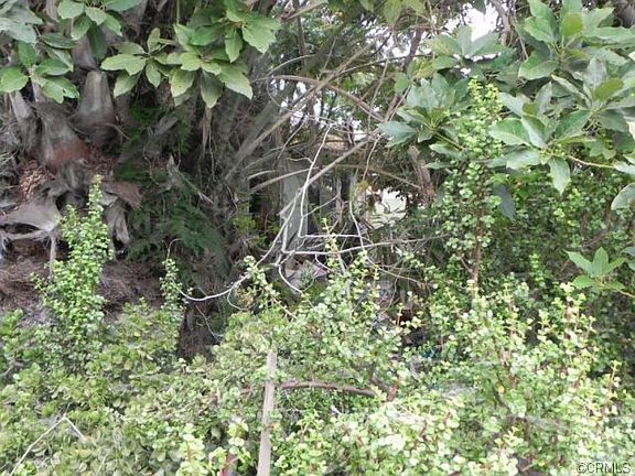 5th image of 13933 Gardenland Ave