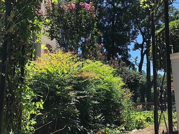 Archway to a secret garden.