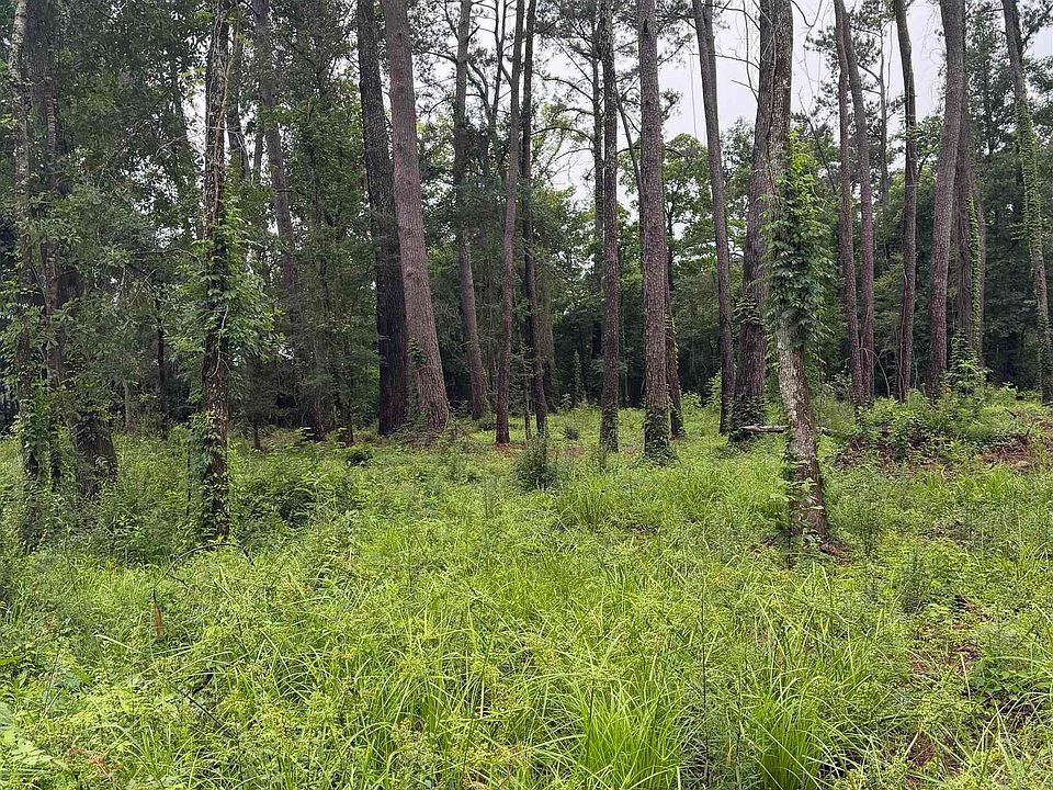 2nd image of State Highway 16