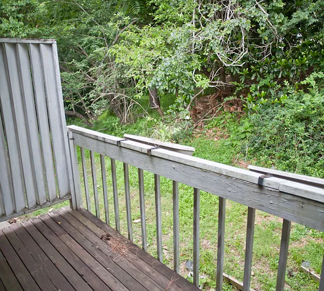 875 Martin Luther King Jr Blvd #17 — Photo 4