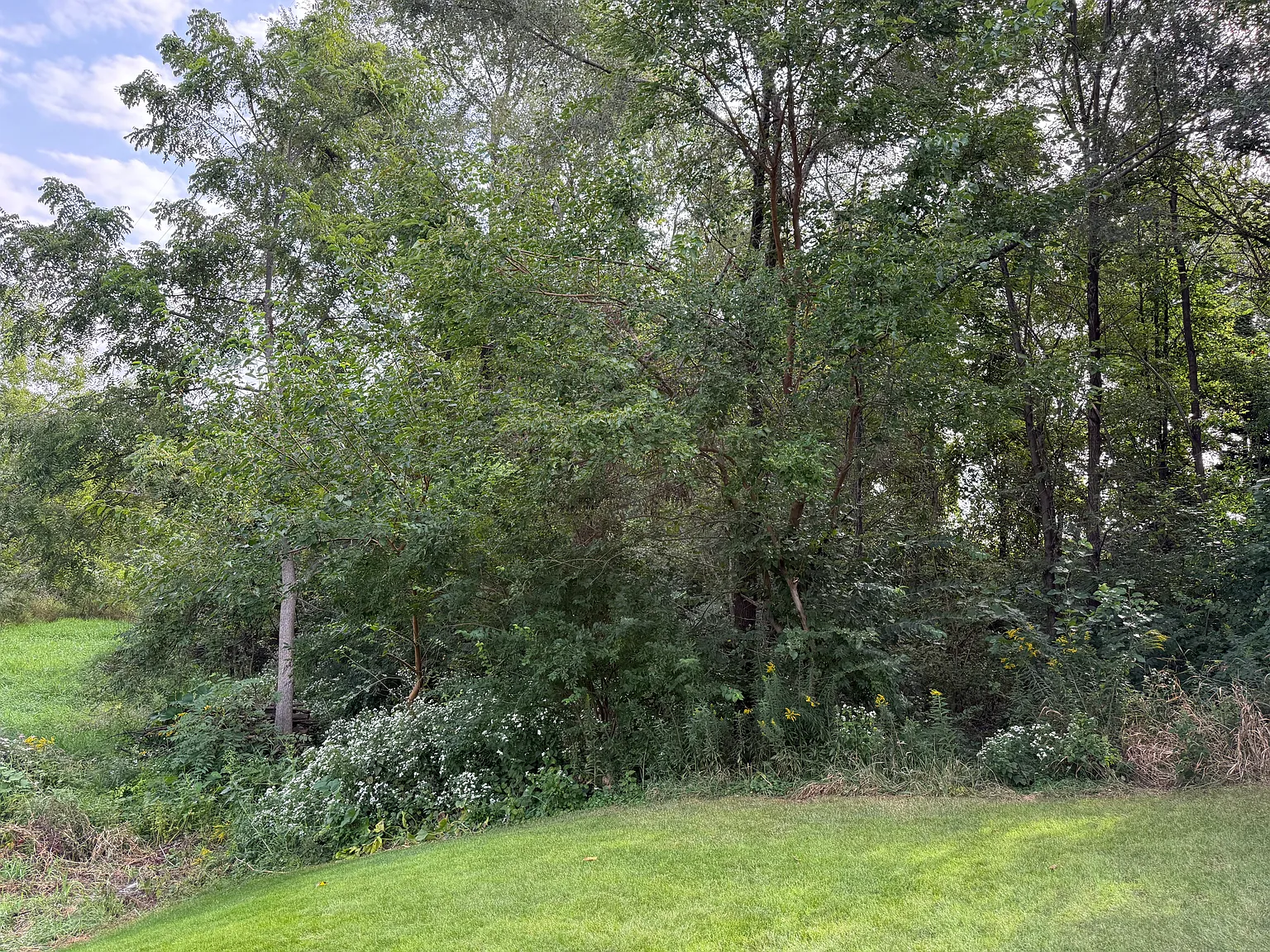 4 bed, 2.5 bath, 2226 sqft, $3,100 — Photo 3