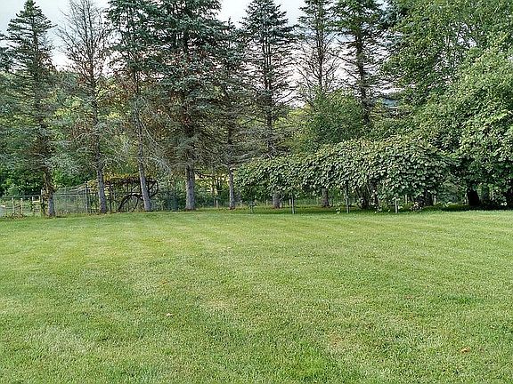 5th image of 74 Open Meadow Ln