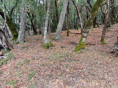 1832 Tulip Place, Willits, CA, 95490