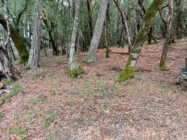 1832 Tulip Place, Willits, CA 95490