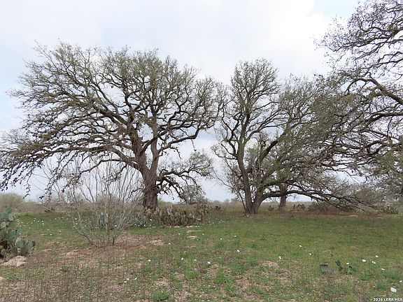 5th image of 678 TANK HOLLOW RD