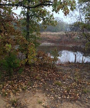 5th image of 6076 County Road 605b