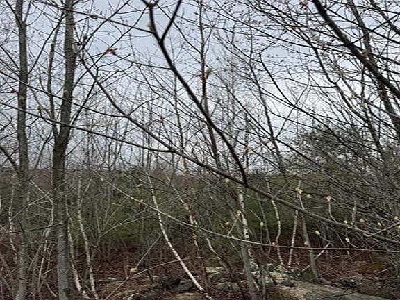 3rd image of TBD Mason Road