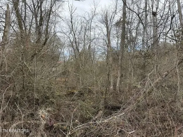 Balboa Dr, Rockwood, TN 37854