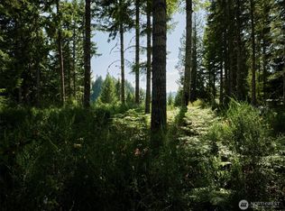 0 Phyllis Ann Ct, Cougar, WA