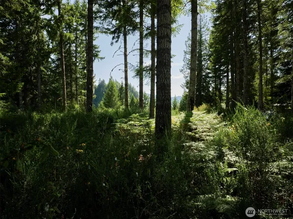 0 Phyllis Ann Block Court, Cougar, WA 98616