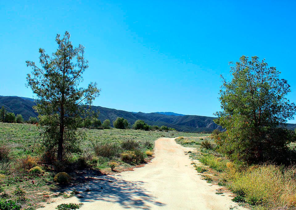 39360 Highway 79, Warner Springs, CA 92086 MLS 219097932DA Zillow