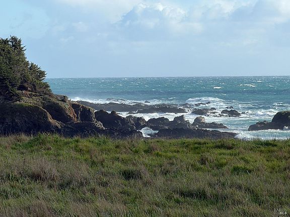 3rd image of 91 Wild Iris