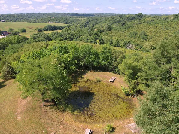 6150 Bridgeville Rd, Brooksville, KY 41004