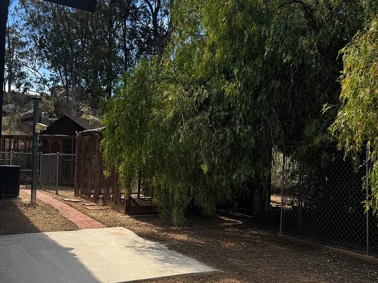 Lemon Ave — Photo 15