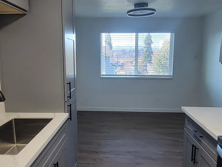 kitchen to dining room