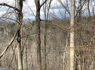 0 Summit Ln, Ellijay, GA 30540