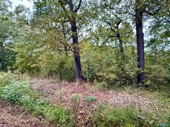 306 Brandon St, Gadsden, AL 35901