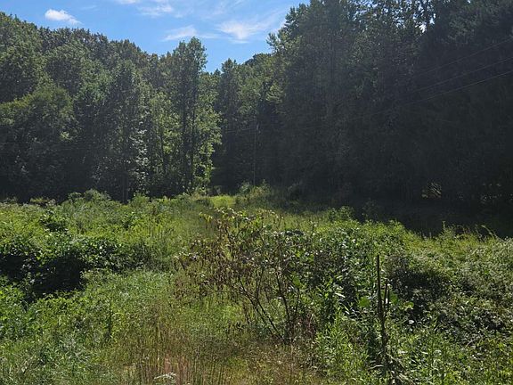 3rd image of 0 Highway 115 E