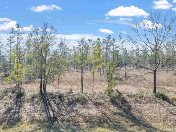 LOT 2 Highway 178, Jay, FL 32565