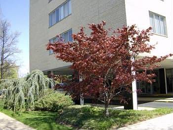4th image of 6641 Wakefield Dr APT 615