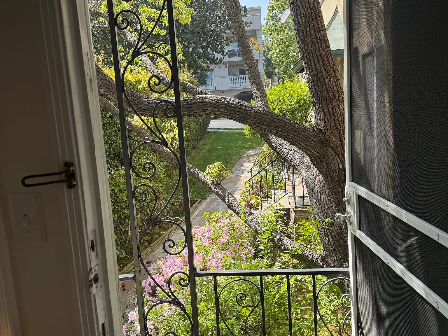 2 bed, 1000 sqft, $2,950 — Photo 4