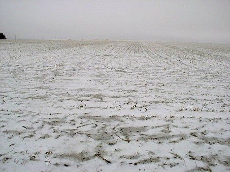 1st image of 41529 Road 724