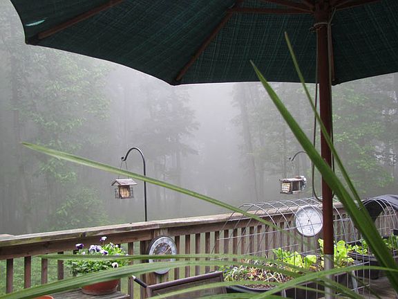 Deck with raised garden beds