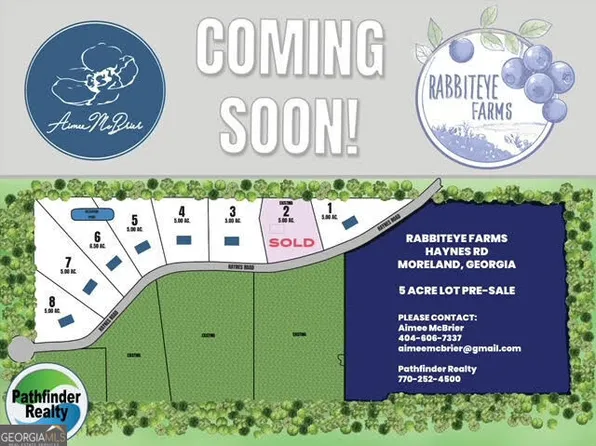 1 Haynes Rd, Moreland, GA 30259