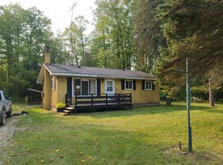 9140 W Gaylanta Dr, Atlanta, MI 49709