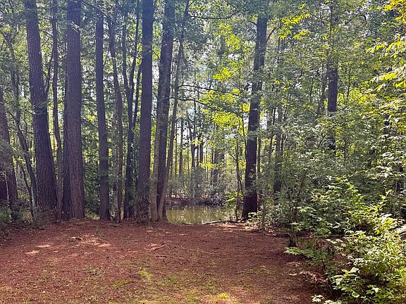 3rd image of 153 Rutledge Dr