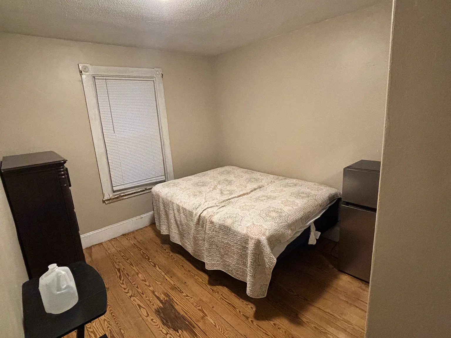 1 bed, $800 — Photo 3
