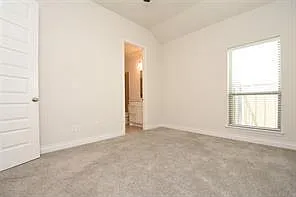 4525 Silver Pine Ct — Photo 13