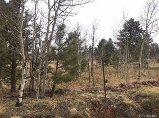 39 Mount Evans Dr, Bailey, CO 80421